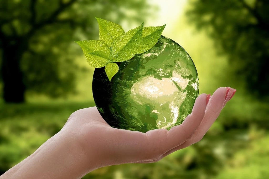 Quels métiers dans le secteur de l'écologie et du développement durable ?
